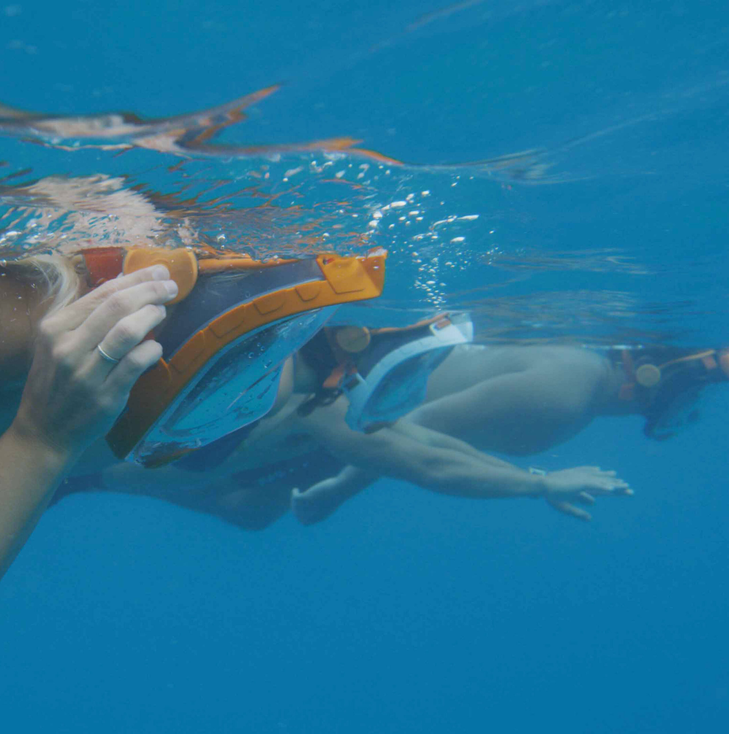 SNORKIE-TALKIE - Image 3